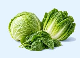 VERDURAS